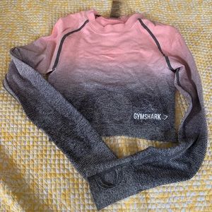 Adapt Ombré Seamless Long Sleeve Crop Top